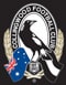 121227_cfcthumb.jpg